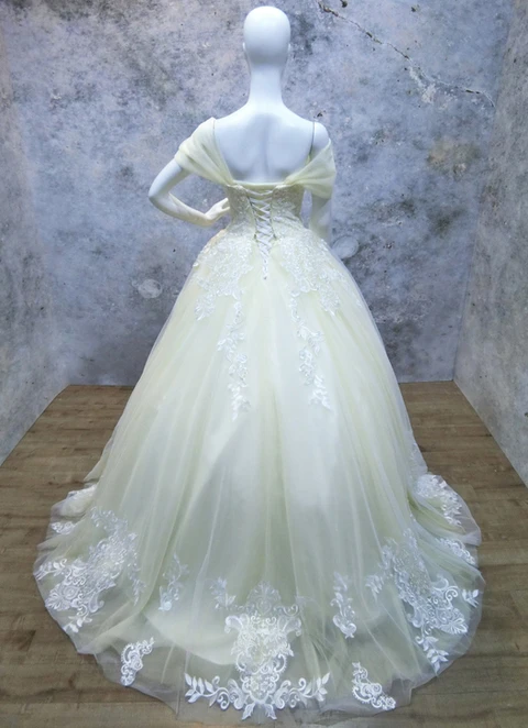 Ball-gown/princess Off-the-shoulder Sleeveless Sweep Train Tulle Wedding Dress With Appliqued Lace