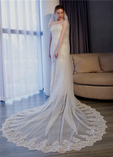 Long Tail Veil With Sequins And Lace Appliques