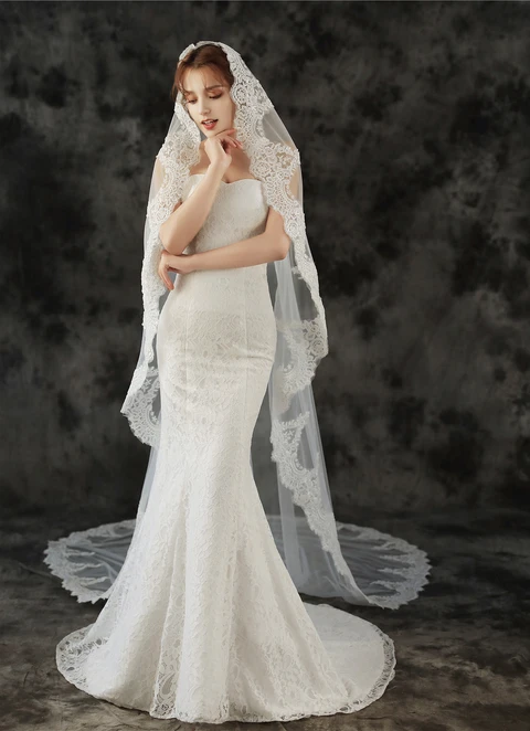 Single Tier Trailing Long Veil With Matching Lace Appliques